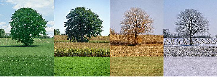 又有传言称《刺客信条：幻景》推迟至10月发行