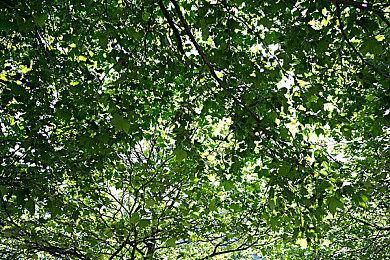 《最终幻想7：重制版》VR Mod实机演示 看着硕大的蒂法