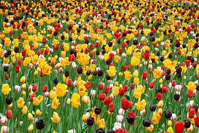 Epic喜加一：《收获日2》免费领取